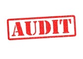 audit image6