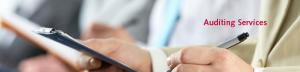 Auditing_Banner